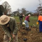 Extending the top planting 7. Cambridge Tree Trust